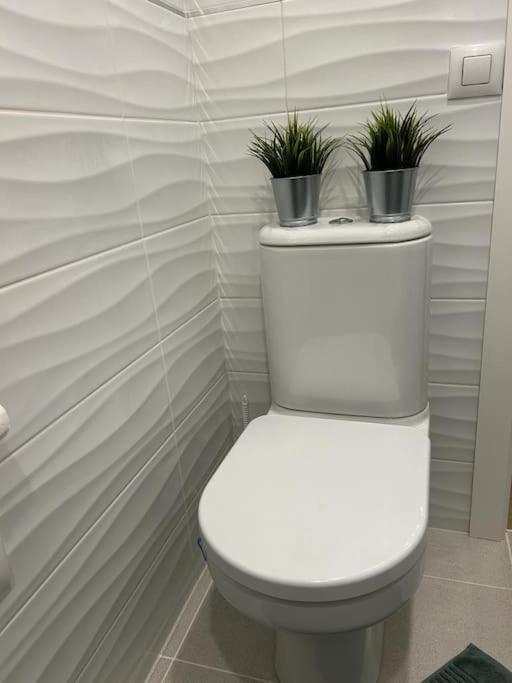 2 Line Apartment Capnegret Αλτέα Εξωτερικό φωτογραφία